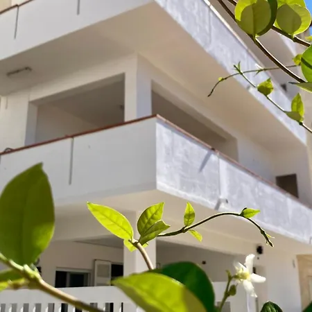 Comfortable With Terrace And 4 Ac Units In Marina Apartment *