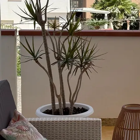 Relax And Comfort 3 Bedrooms With Ac Near The With Terrace And Free Parking Appartement Alcamo